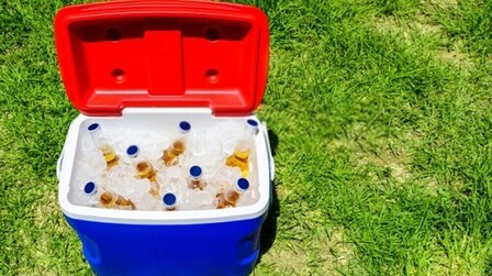 Benefits of Cooler for Camping