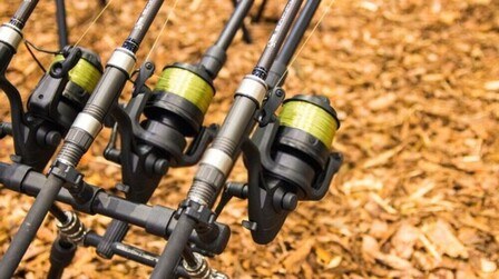 6 Best Reels For Carp Fishing of 2025