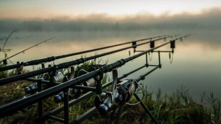 6 Best Rods For Carp Fishing of 2025
