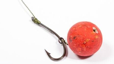 6 Best Hooks For Carp Fishing of 2025