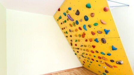 6 Best Holds For Home Climbing Wall of 2025