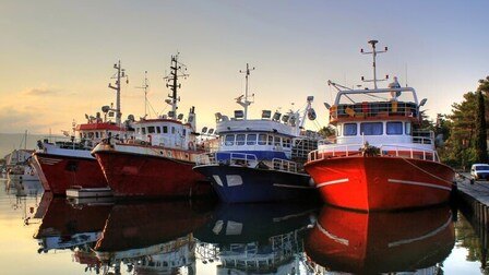 Different Types Of Fishing Vessels