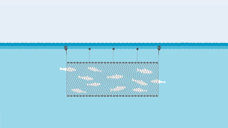 Different Type Of Fishing Net