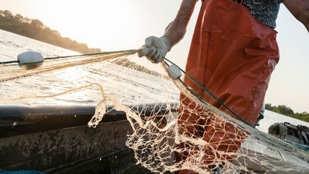 Things You Should Know Before Buying Fishing Net