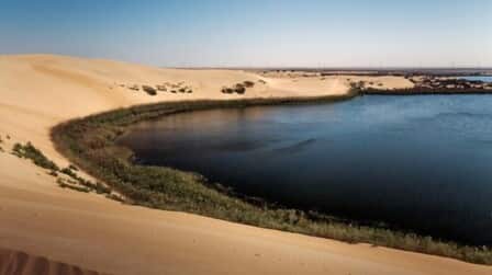 How To Find Water In The Desert