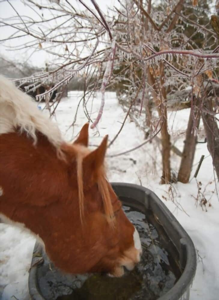 how-to-keep-water-from-freezing-outside