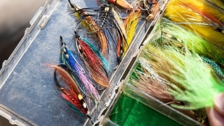 Things You Should Know Before Choosing Fishing Lures Things You Should Know Before Choosing Fishing Lures