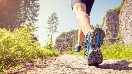 6 Best Trail Running Shoes For Weak Ankles of 2026