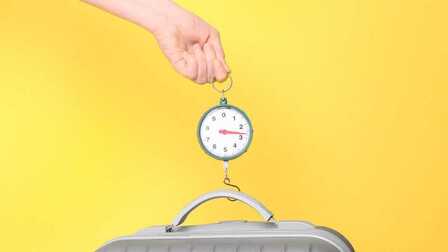 6 Best Digital Luggage Scales of 2025