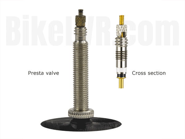 Different Types Of Bike Tire Valves