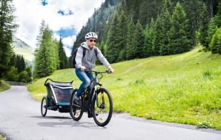 6 Best Bike Trailer of 2025
